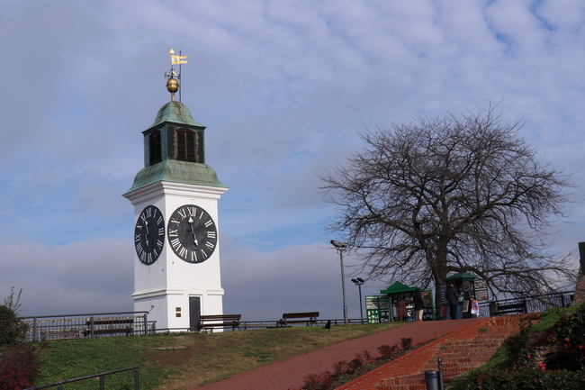 Novi Sad Clock tower pic